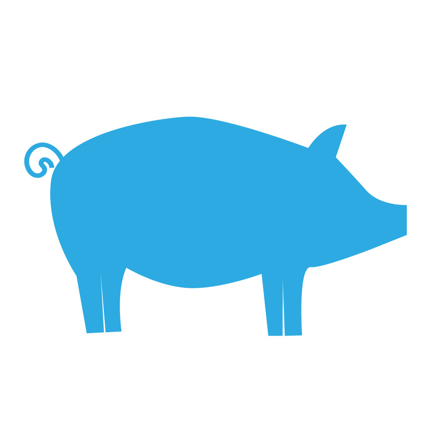 Op dit bedrijf worden varkens gehouden voor vleesproductie en/of hobbymatig karakter naast een andere hoofdactiviteit.